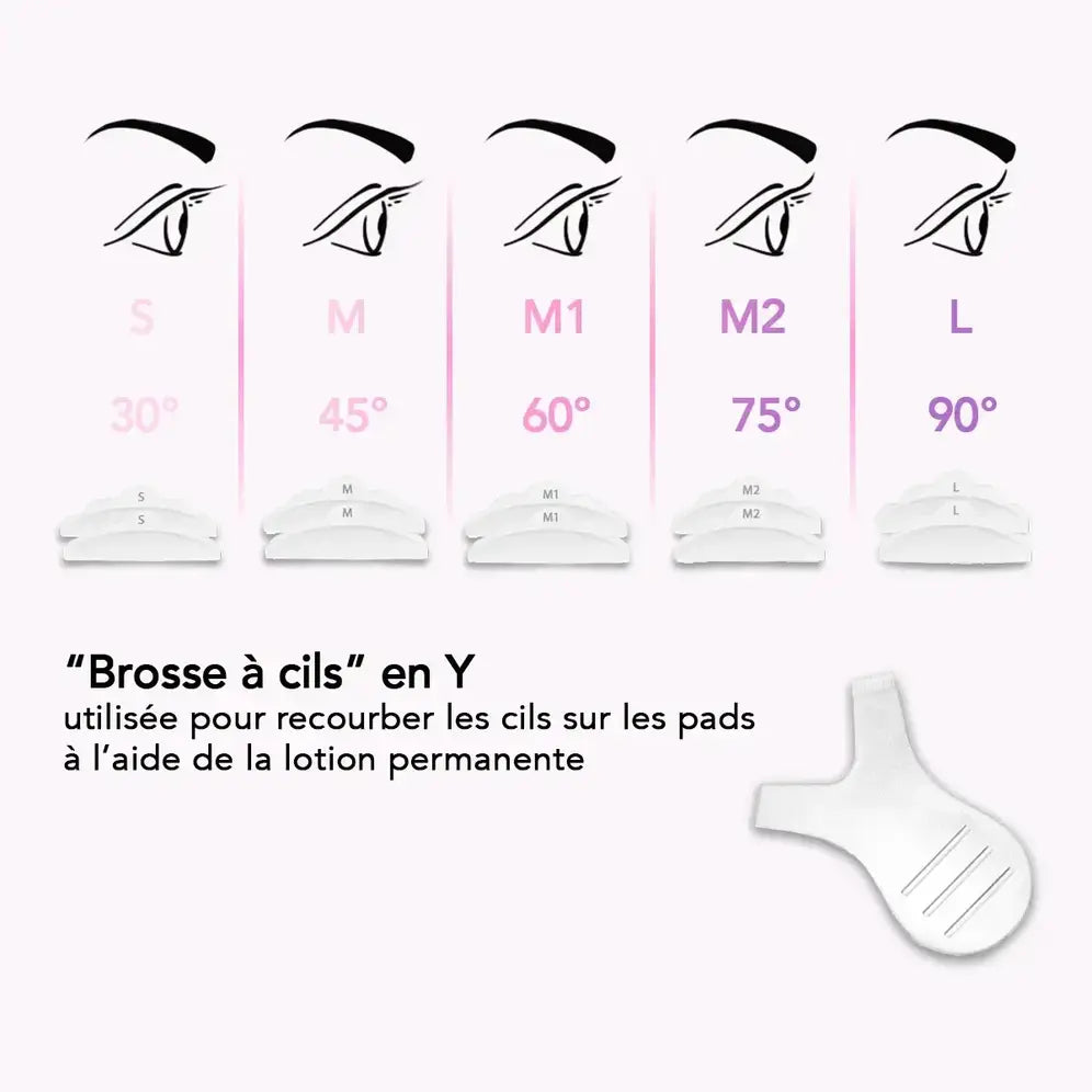 Différentes tailles des brosses à cils en Y