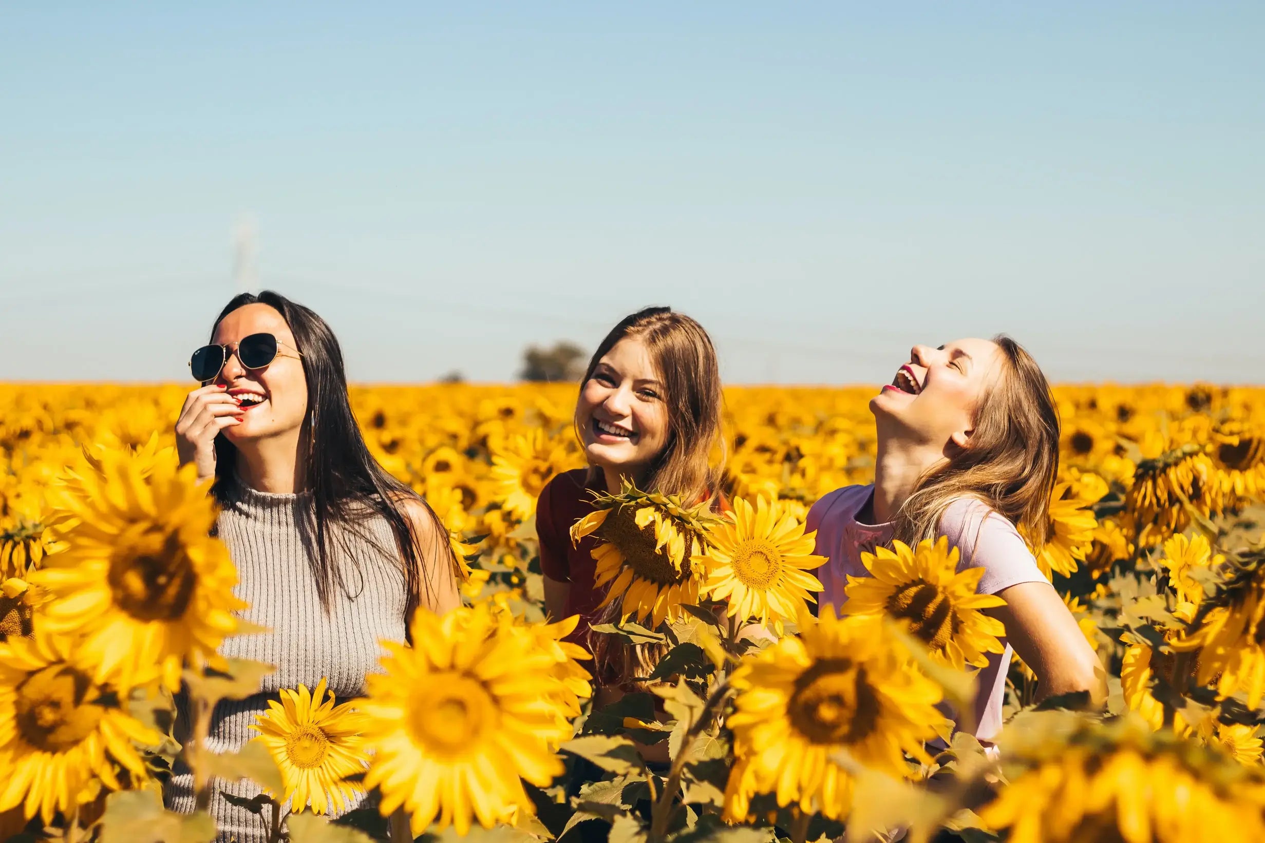 Trois femmes dans un champ de tournesols