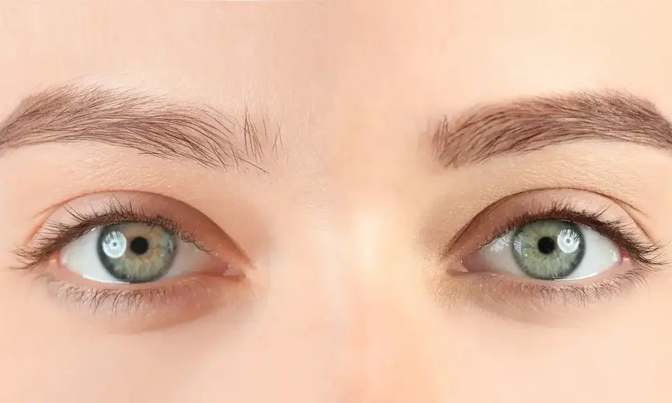 Avant lash lift