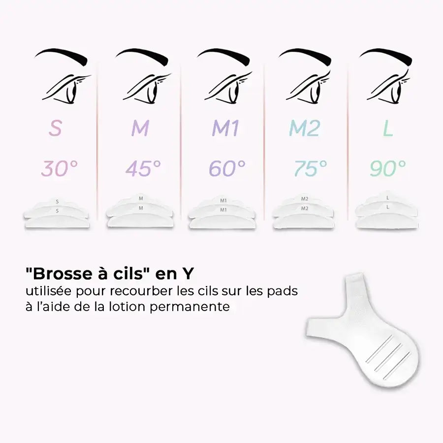 Différentes tailles des brosses à cils en Y