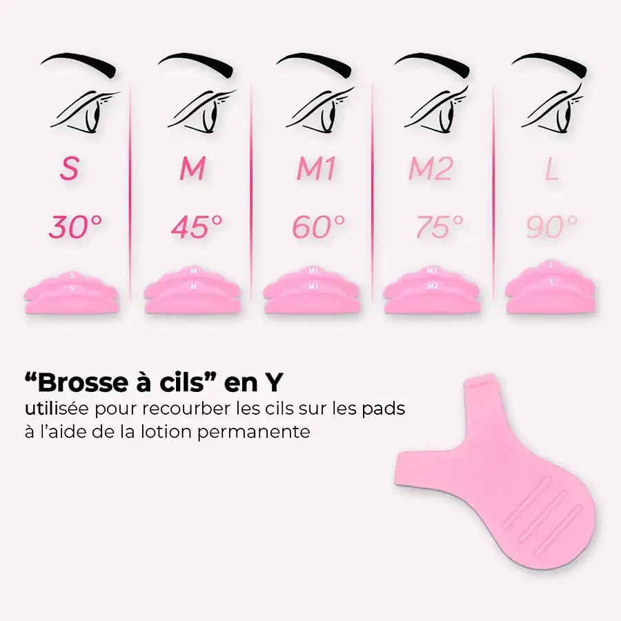 Différentes tailles des brosses à cils en Y